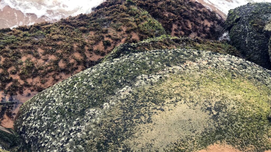 Trusted Worldwide: Geo Bags for Sustainable Solutions.